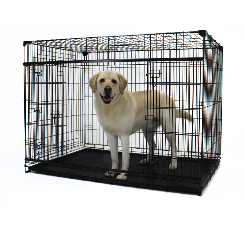Tucker Murphy Pet™ Seaforth Sliding Double Door Pet Crate & Reviews